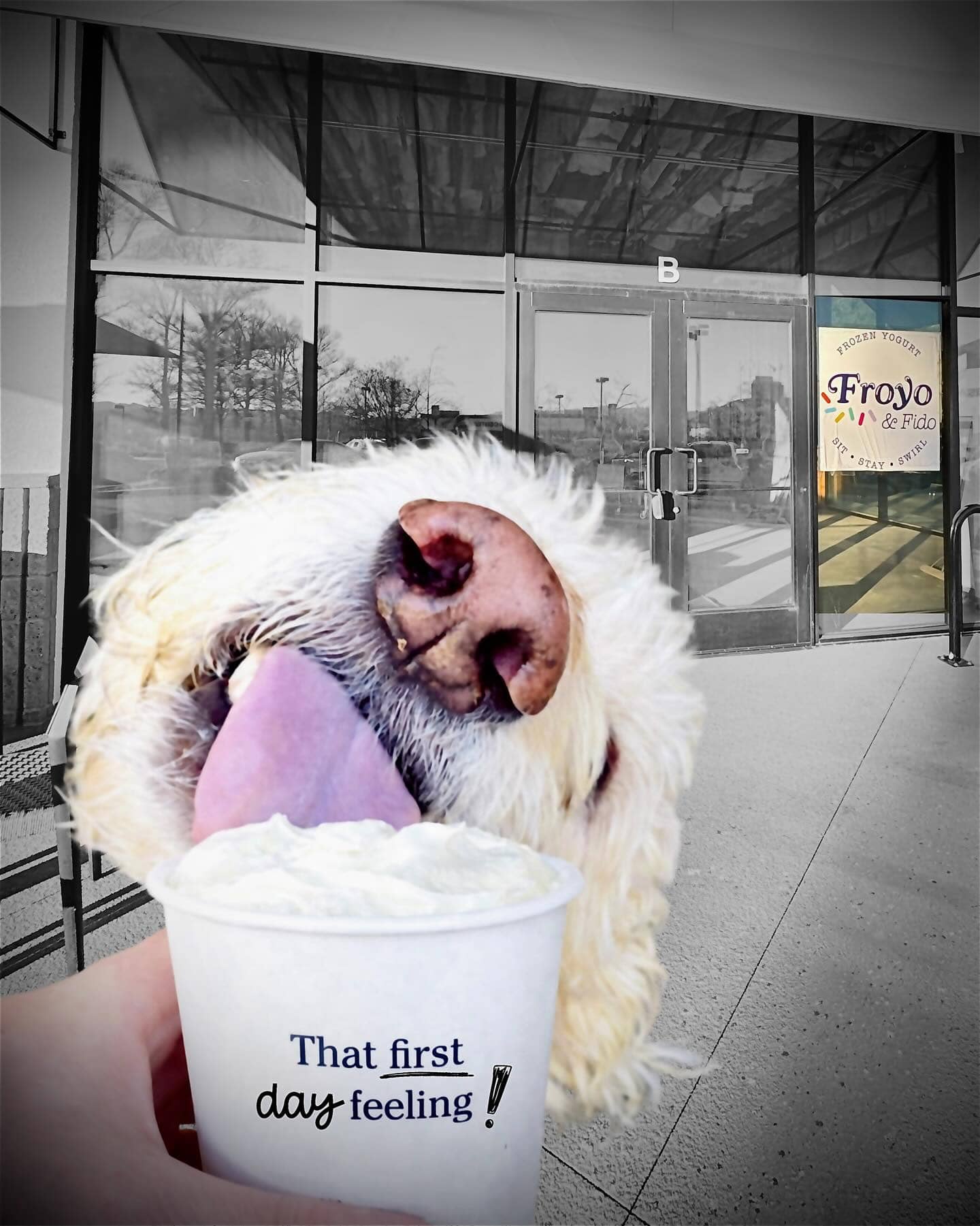 Raise whatever is closest, because we kicked off construction on Froyo & Fido!

Feeling Wookie-with-a-pup-cup level happy and wanted to share the news.